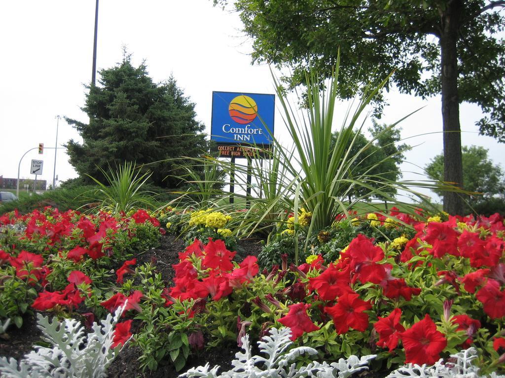 Comfort Inn South Vinnipeg Dış mekan fotoğraf